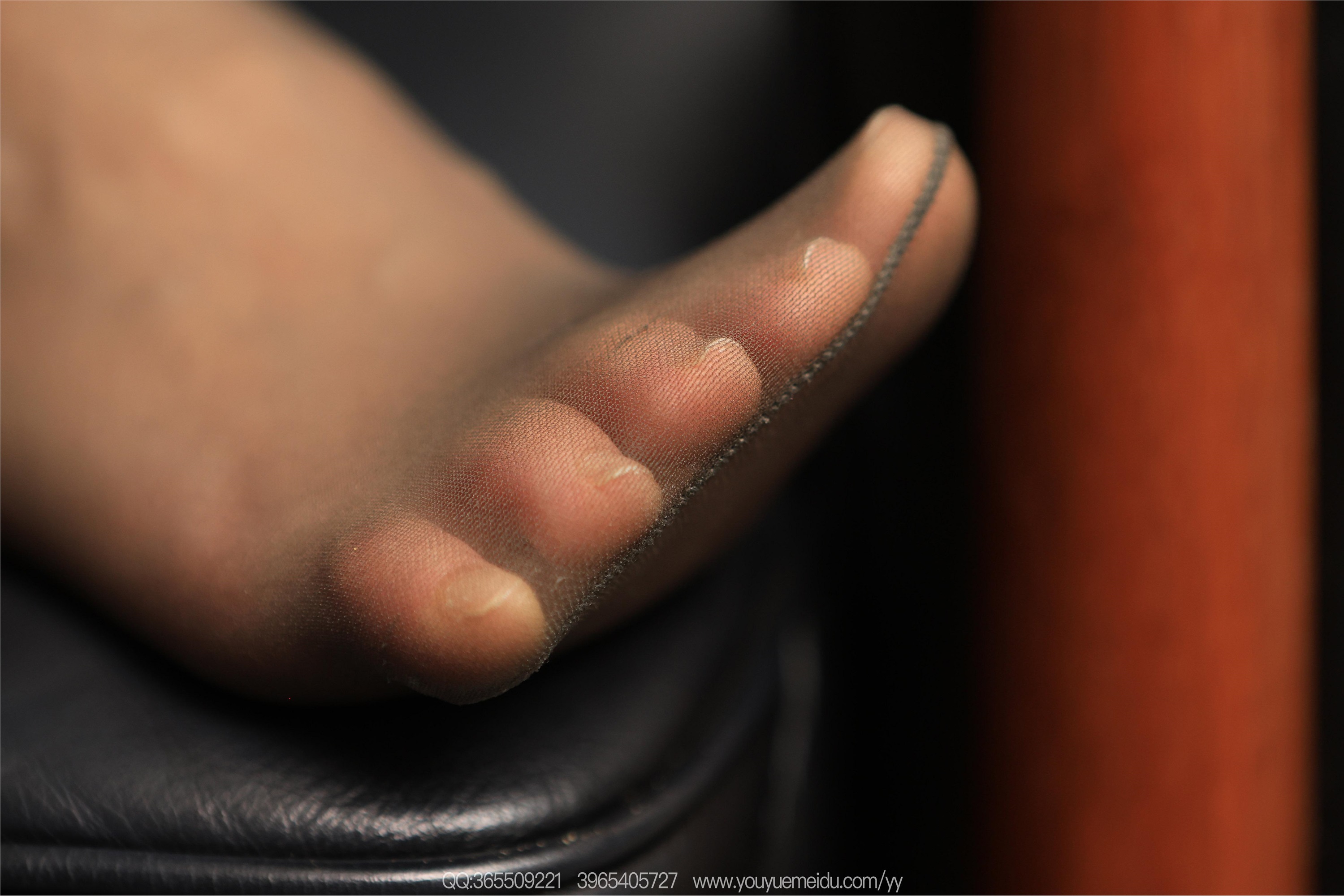 IESS异思趣向  2025.12.23 丝享家2245：小金《咖丝OL（上）》